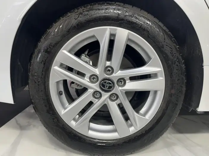 Lingshang 2024 Model 2.0L Leading version – фото 9