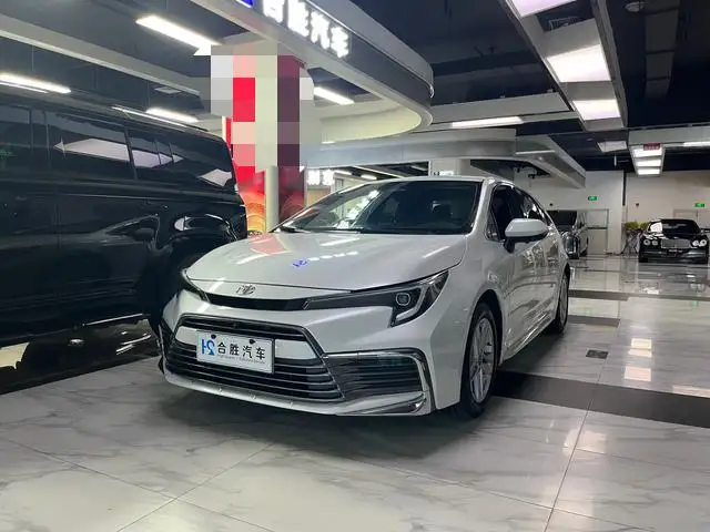 Lingshang 2024 Model 2.0L Leading version – фото 13