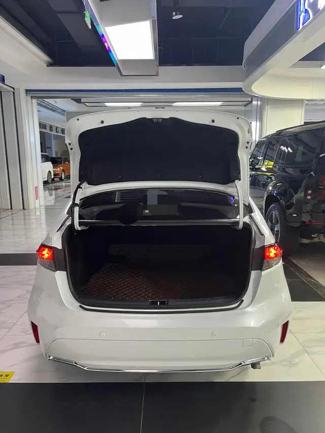 Lingshang 2024 Model 2.0L Leading version – фото 15