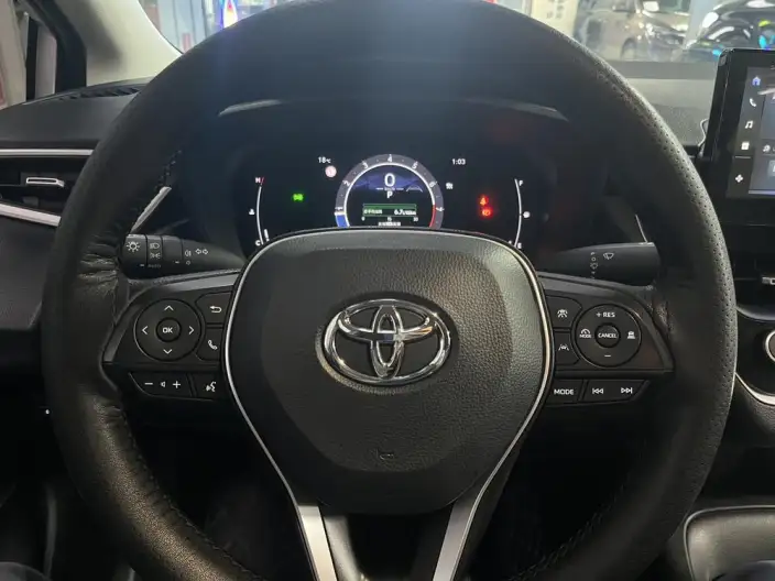 Lingshang 2024 Model 2.0L Leading version – фото 20