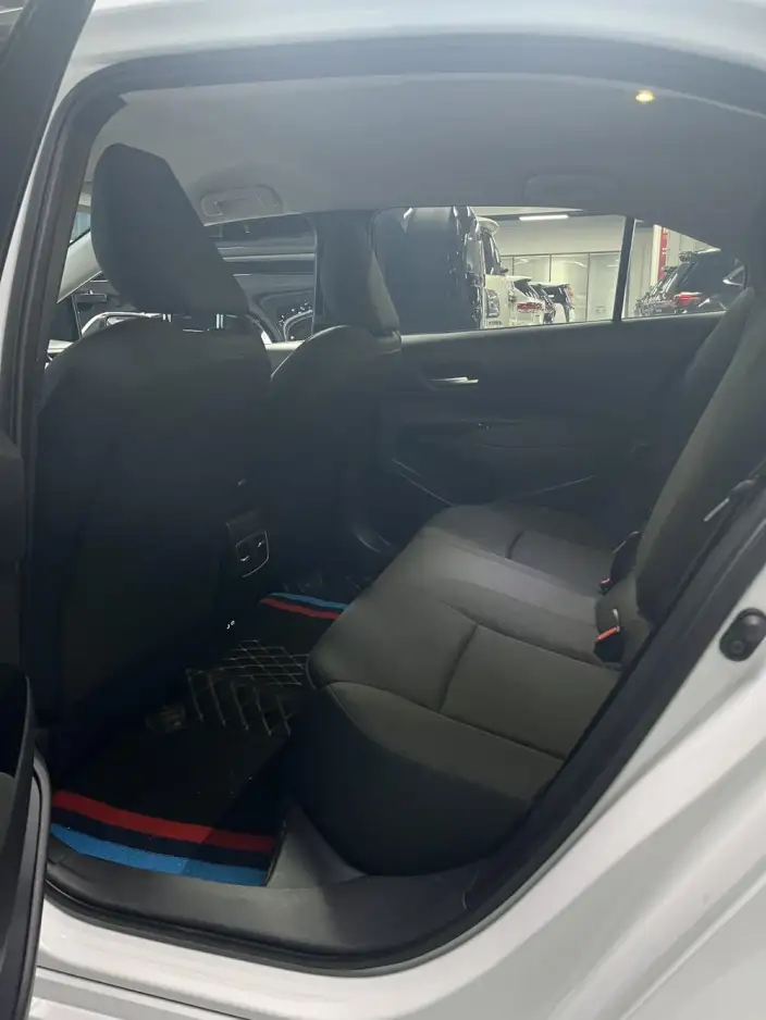 Lingshang 2024 Model 2.0L Leading version – фото 24