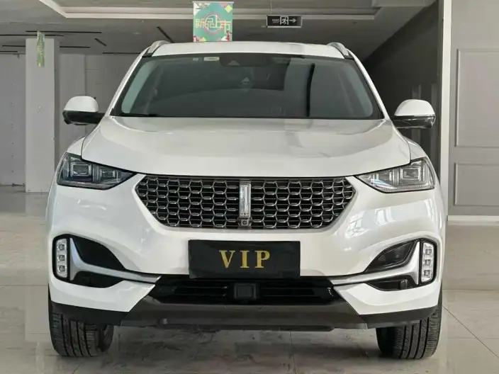 WEY VV6 2021 Model 2.0T 2WD Smart Enjoy + – фото 2