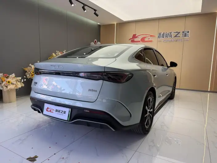 BYD Seal 06 DM 2024 Model DM-i 120KM Exclusive Model – фото 6