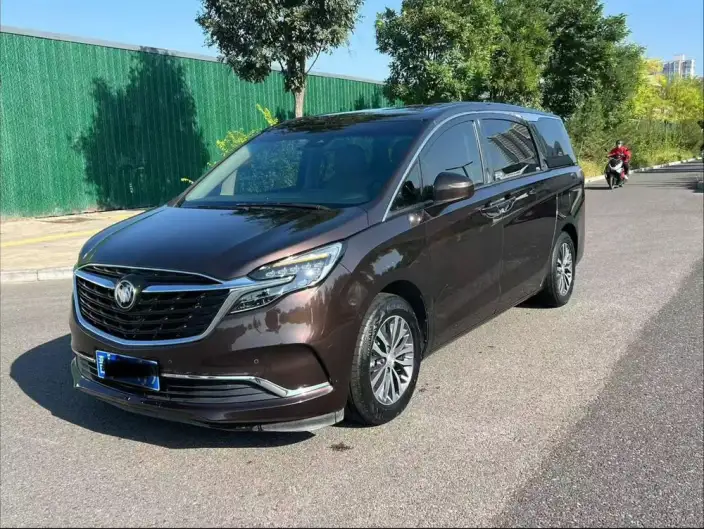 Buick GL8 2020 Model ES Luzun 653T Exclusive Model – фото 1