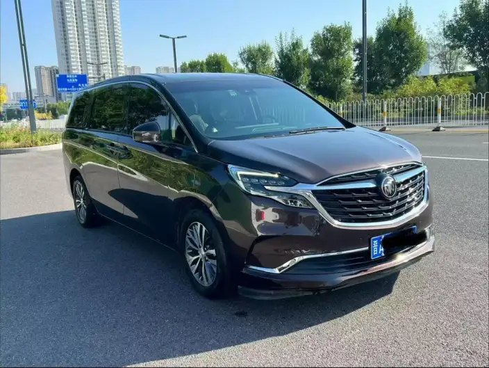 Buick GL8 2020 Model ES Luzun 653T Exclusive Model – фото 3