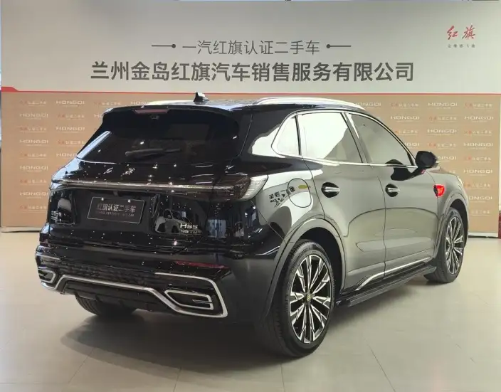 Hongqi HS5 2023 Model 2.0T 4WD Flag Xiang Pro Edition – фото 4
