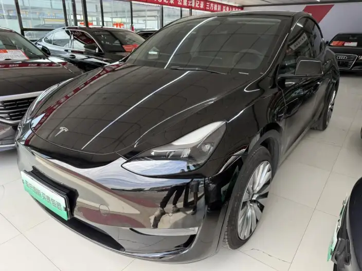 Model Y 2021 Model Standard Battery Life Rear-wheel drive version – фото 1