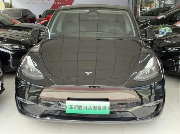 Model Y 2021 Model Standard Battery Life Rear-wheel drive version – фото 2