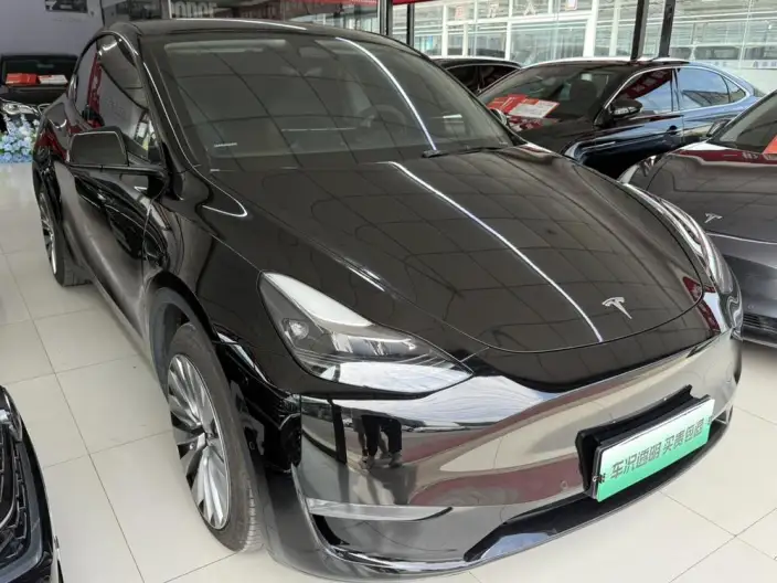 Model Y 2021 Model Standard Battery Life Rear-wheel drive version – фото 3