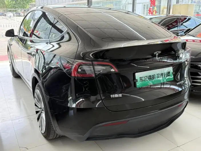 Model Y 2021 Model Standard Battery Life Rear-wheel drive version – фото 4