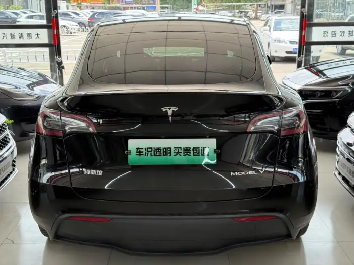 Model Y 2021 Model Standard Battery Life Rear-wheel drive version – фото 5
