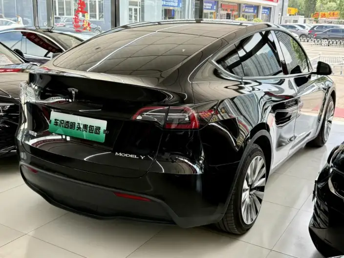 Model Y 2021 Model Standard Battery Life Rear-wheel drive version – фото 6