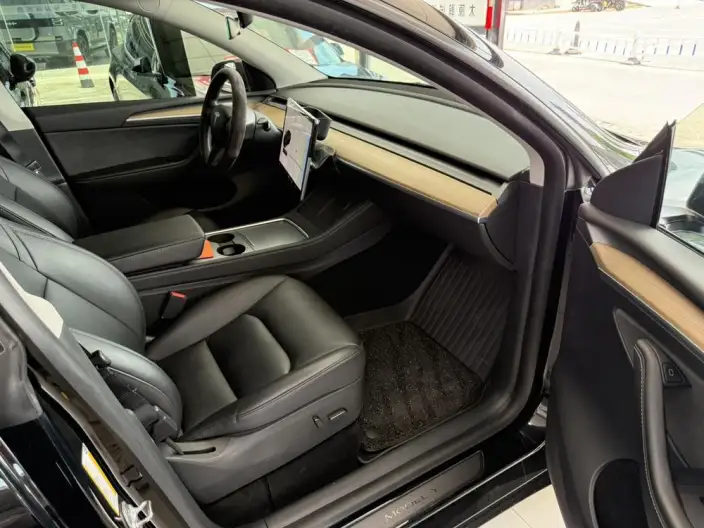 Model Y 2021 Model Standard Battery Life Rear-wheel drive version – фото 8