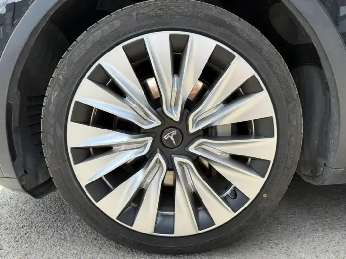 Model Y 2021 Model Standard Battery Life Rear-wheel drive version – фото 11