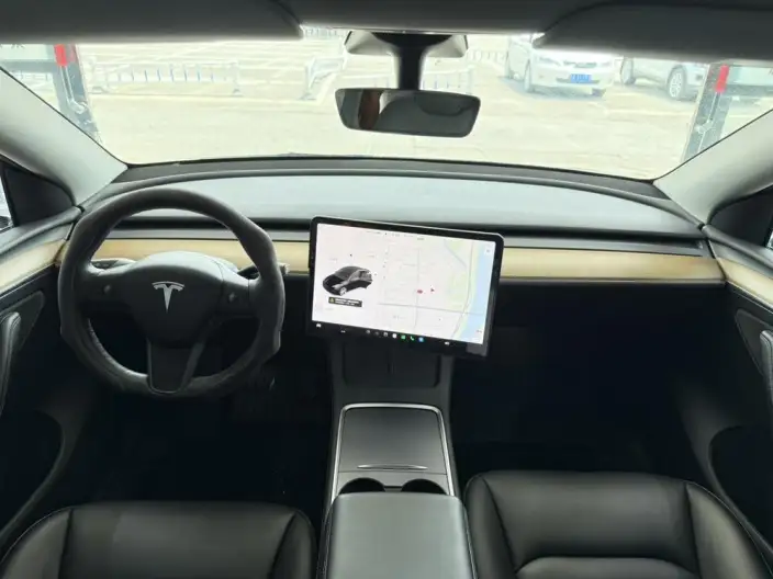 Model Y 2021 Model Standard Battery Life Rear-wheel drive version – фото 12