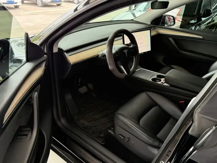 Model Y 2021 Model Standard Battery Life Rear-wheel drive version – фото 14