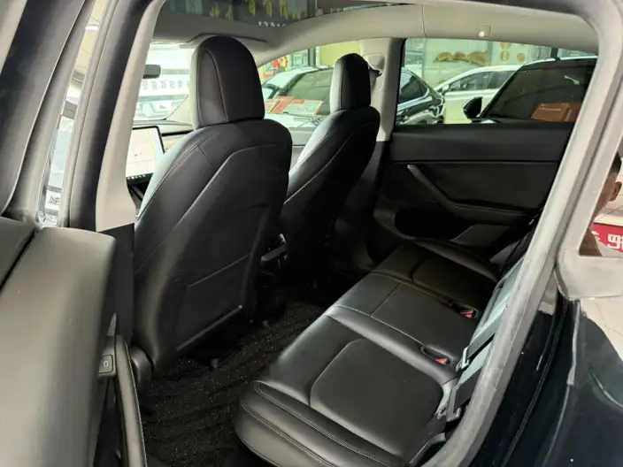 Model Y 2021 Model Standard Battery Life Rear-wheel drive version – фото 15