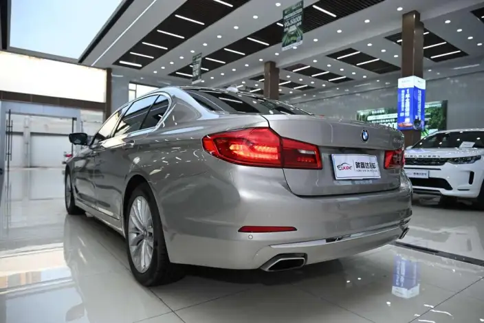 BMW 5 Series 2020 Model 530Li Leading Model Luxury Set – фото 4