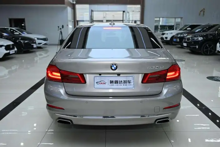 BMW 5 Series 2020 Model 530Li Leading Model Luxury Set – фото 5