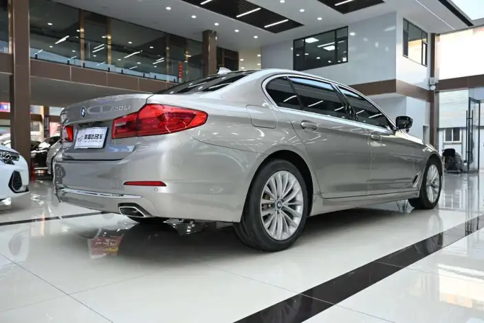 BMW 5 Series 2020 Model 530Li Leading Model Luxury Set – фото 6