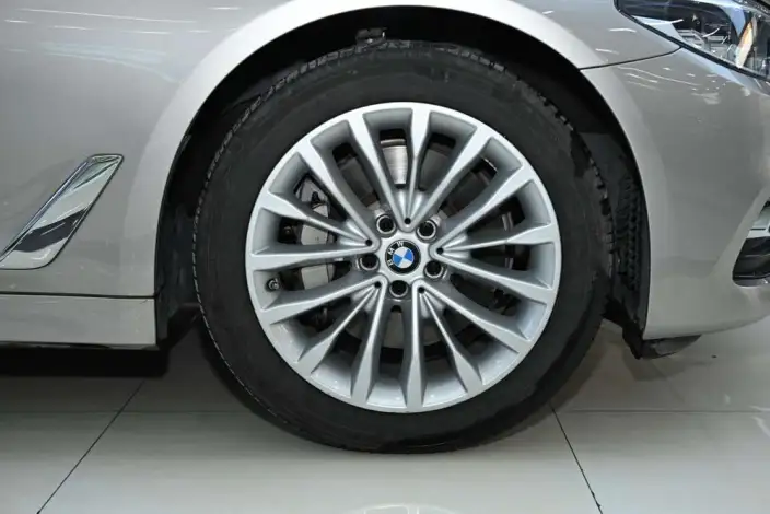 BMW 5 Series 2020 Model 530Li Leading Model Luxury Set – фото 7