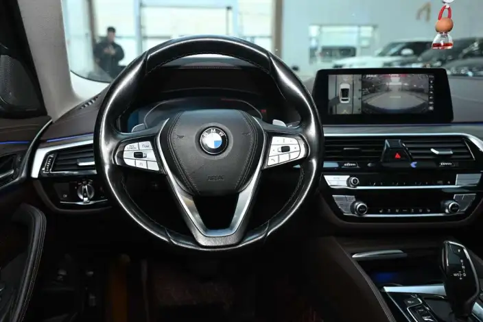 BMW 5 Series 2020 Model 530Li Leading Model Luxury Set – фото 15