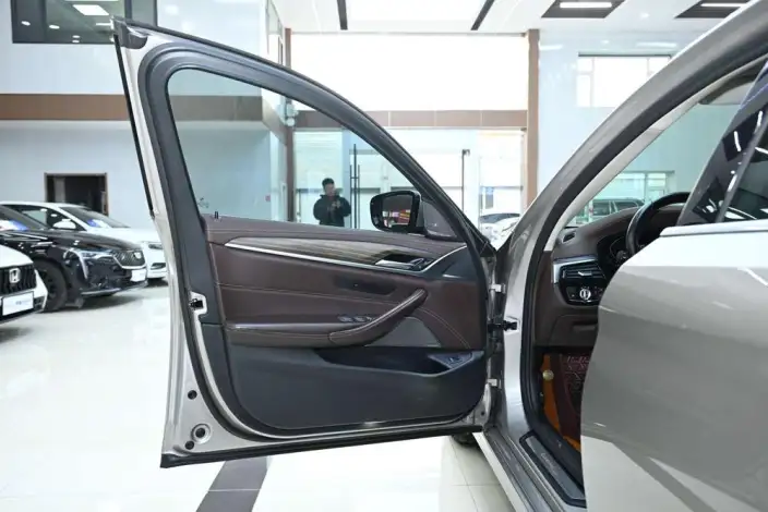 BMW 5 Series 2020 Model 530Li Leading Model Luxury Set – фото 18