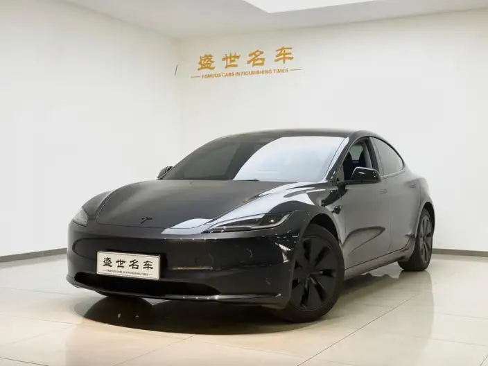 Model 3 2025 Model Rear-wheel drive version – фото 1