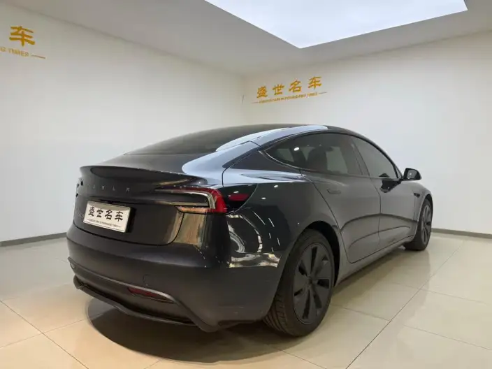 Model 3 2025 Model Rear-wheel drive version – фото 6