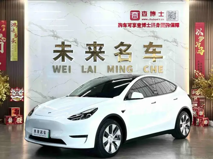 Model Y 2021 Model Long Battery Life Pro All-wheel drive version – фото 1