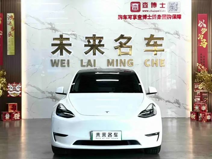 Model Y 2021 Model Long Battery Life Pro All-wheel drive version – фото 2