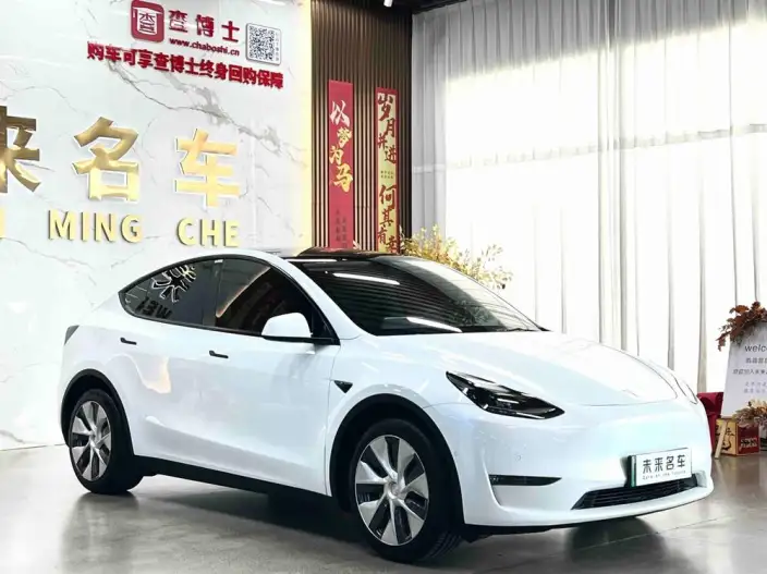 Model Y 2021 Model Long Battery Life Pro All-wheel drive version – фото 3