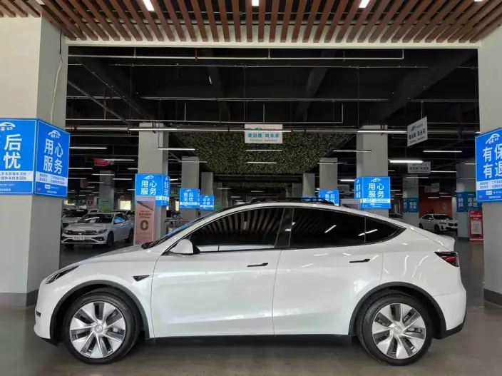 Model Y 2021 Model Long Battery Life Pro All-wheel drive version – фото 4