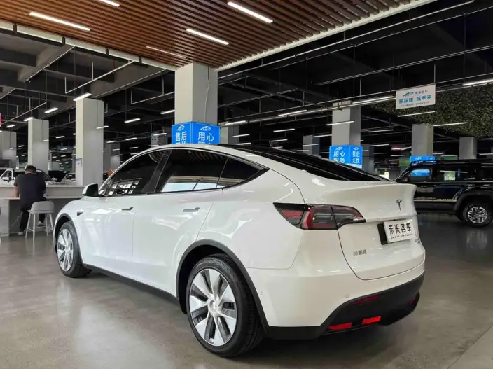 Model Y 2021 Model Long Battery Life Pro All-wheel drive version – фото 5