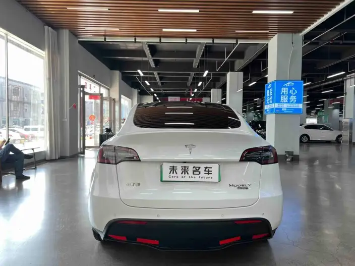 Model Y 2021 Model Long Battery Life Pro All-wheel drive version – фото 6