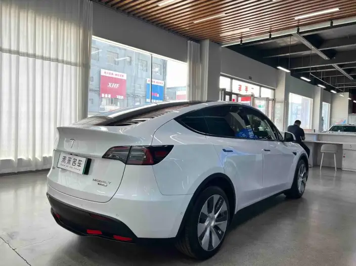 Model Y 2021 Model Long Battery Life Pro All-wheel drive version – фото 7