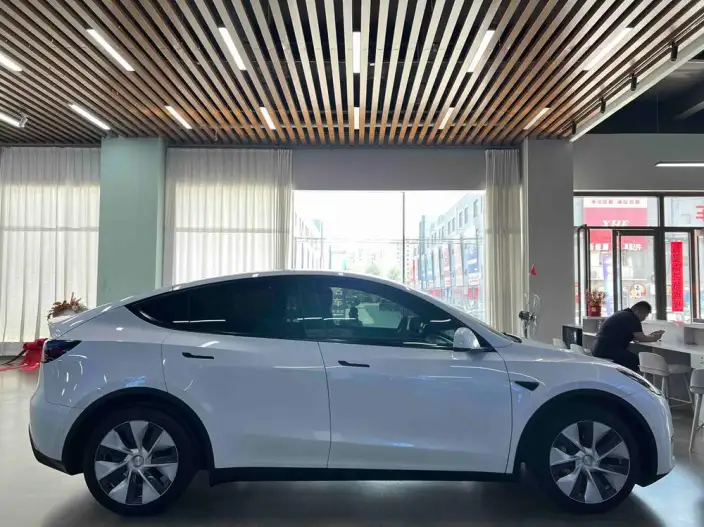 Model Y 2021 Model Long Battery Life Pro All-wheel drive version – фото 8