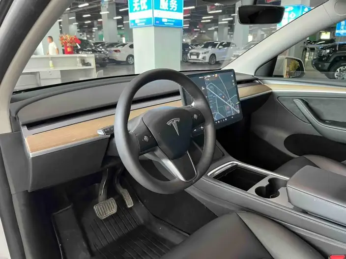 Model Y 2021 Model Long Battery Life Pro All-wheel drive version – фото 10