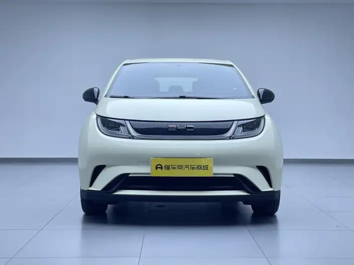 BYD Dolphin 2025 Model 420KM Vitality Edition – фото 2