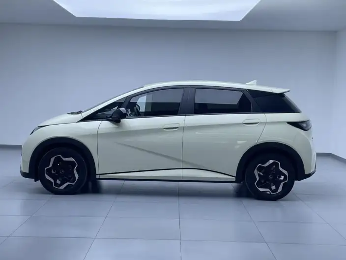 BYD Dolphin 2025 Model 420KM Vitality Edition – фото 4