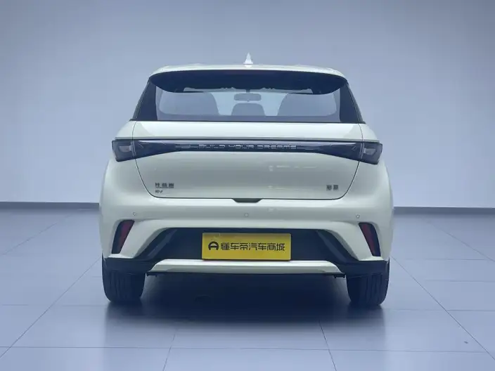 BYD Dolphin 2025 Model 420KM Vitality Edition – фото 6