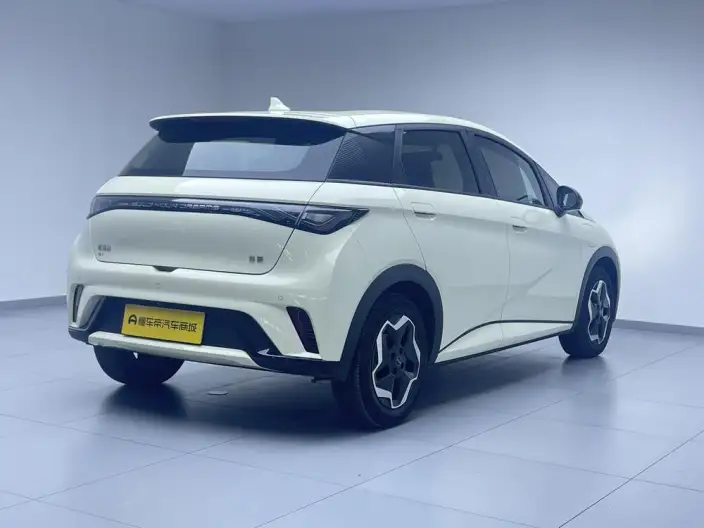 BYD Dolphin 2025 Model 420KM Vitality Edition – фото 7