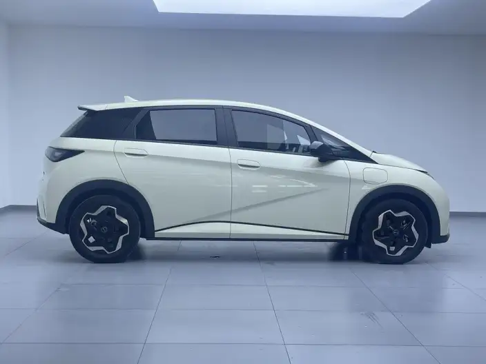 BYD Dolphin 2025 Model 420KM Vitality Edition – фото 8