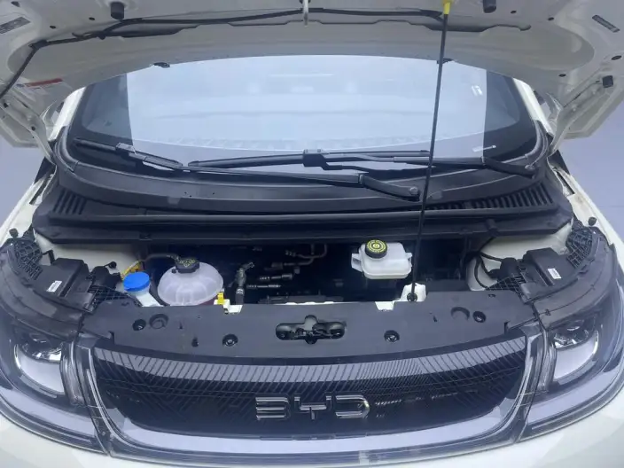BYD Dolphin 2025 Model 420KM Vitality Edition – фото 10