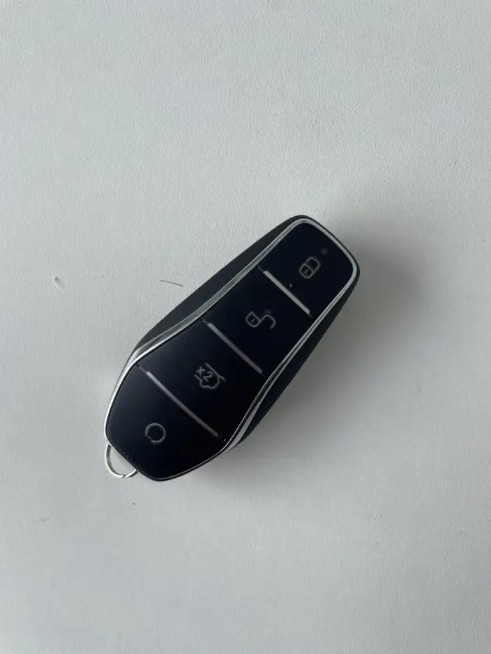 BYD Dolphin 2025 Model 420KM Vitality Edition – фото 11