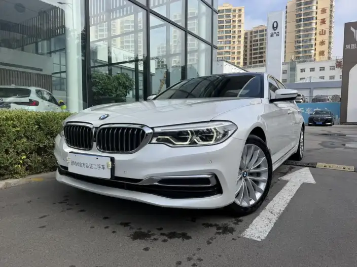BMW 5 Series 2020 Model 530Li Leading Model Luxury Set – фото 1