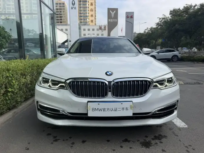 BMW 5 Series 2020 Model 530Li Leading Model Luxury Set – фото 2