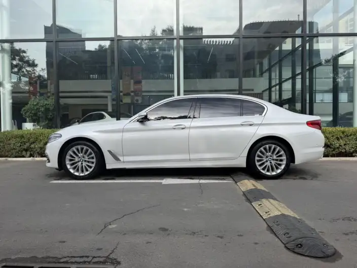 BMW 5 Series 2020 Model 530Li Leading Model Luxury Set – фото 3