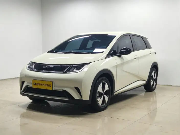 BYD Dolphin 2023 Model Free Edition – фото 1
