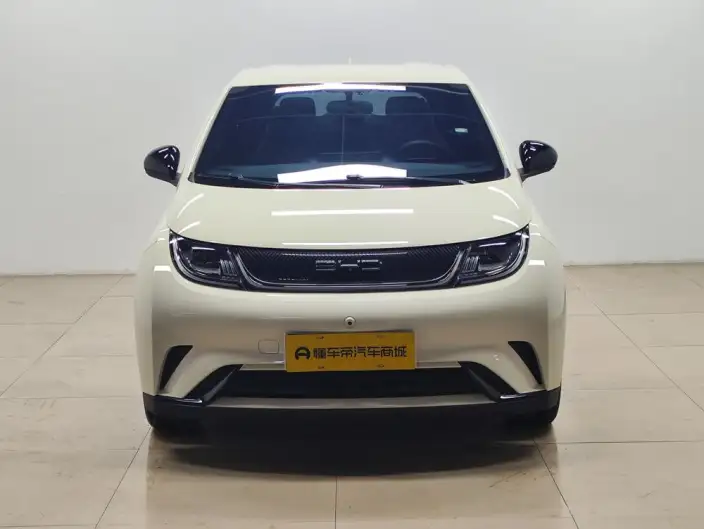 BYD Dolphin 2023 Model Free Edition – фото 2